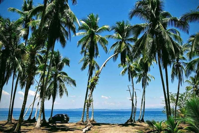 Le Corcovado, au Costa Rica, un lieu préservé luxuriant durant la saison sèche