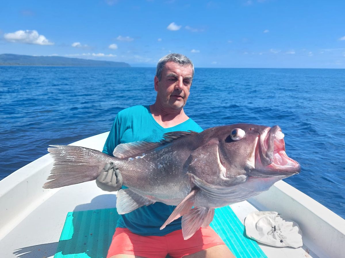 JIGGING ET SLOW JIGGING : LA PÊCHE CÔTIÈRE À LA VERTICALE