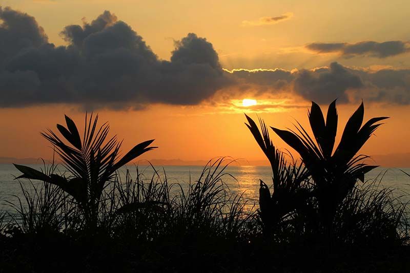 DE NOVEMBRE À JUILLET : PARTIR DURANT LA SAISON DE PÊCHE AU COSTA RICA