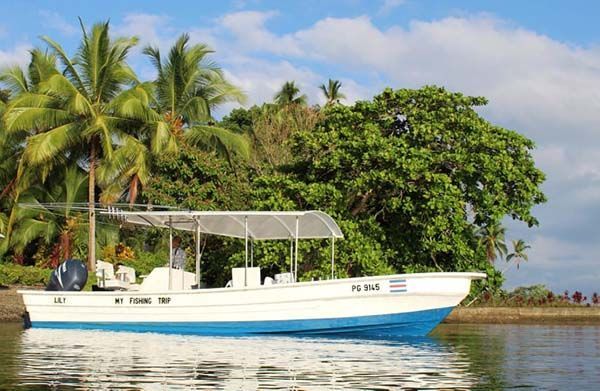 Panga de 29 pieds pour une journée de pêche confortable